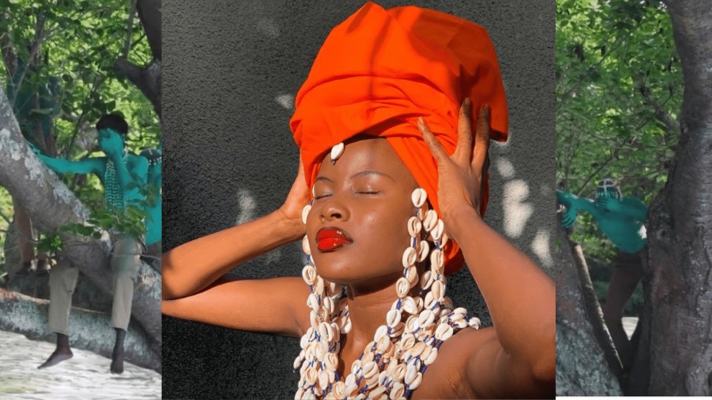 ’Lafalaise DION ou la reine des cauris’’