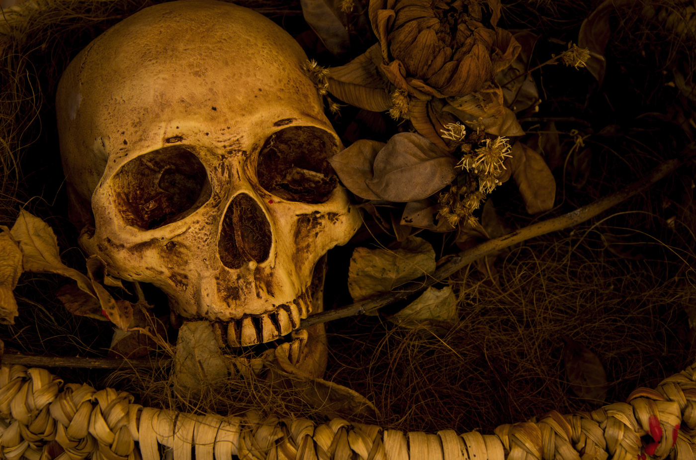 Génocide namibien : les peuples Herero et Nama demandent une participation directe aux renégociations avec l&rsquo;Allemagne pour les réparations