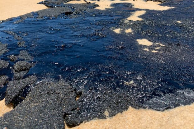 Déversement catastrophique de pétrole au Nigeria : Appel urgent à l&rsquo;action pour mettre fin à la crise environnementale dans le delta du Niger