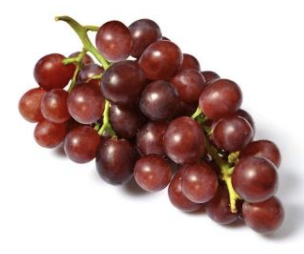 INSOLITE : CULTURE DU RAISIN EN AFRIQUE