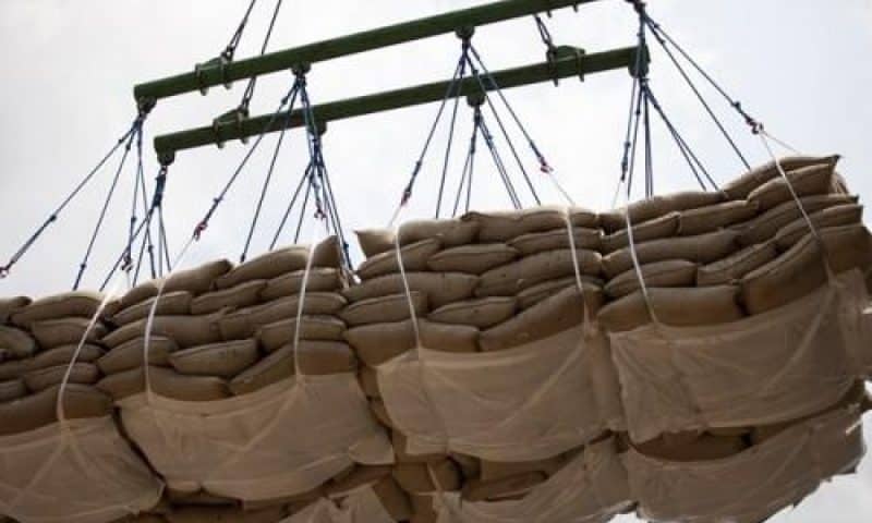 Cameroun : Fraude sur les exportations frauduleuses du cacao,  la douane intensifie la surveillance